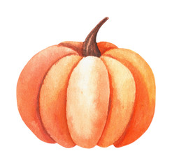 Orange pumpkin. Watercolor isolated illustration on a white background. Great for autumn design