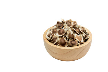 Moringa Oleifera seed dried on isolated white background.