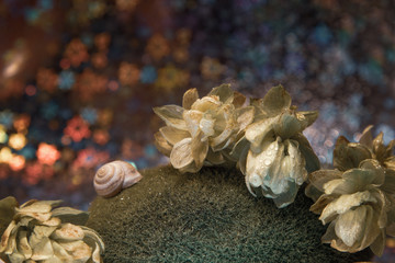 Three hop flowers on green grass and one flower next, a snail shell on the left to a blurred background with bokeh