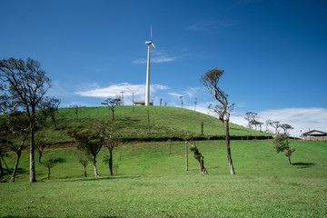 Fototapeta premium Beautiful landscape in Nuwara Eliya, Sri Lanka
