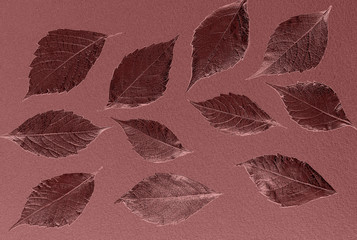 autumn leaves lie on bright paper background image