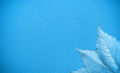 autumn leaves lie on bright paper background image