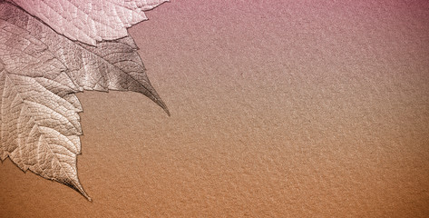 autumn leaves lie on bright paper background image