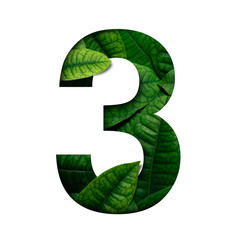 Leafs number 3 made of Real alive leafs with Precious paper cut shape of number. Leafs font.