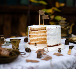 beautiful outdoor still life with naked biscuit multi layered naked cake with white cream stands on...