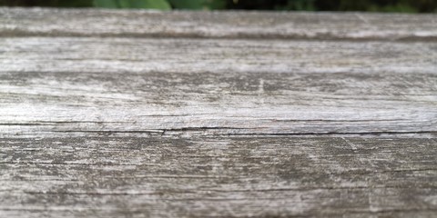 wood background