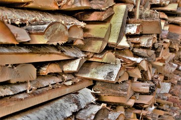 birch wood in the woodpile, the texture of nature