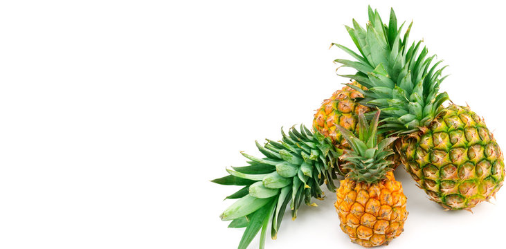 Pineapples isolated on white background. Free space for text. Wide photo.