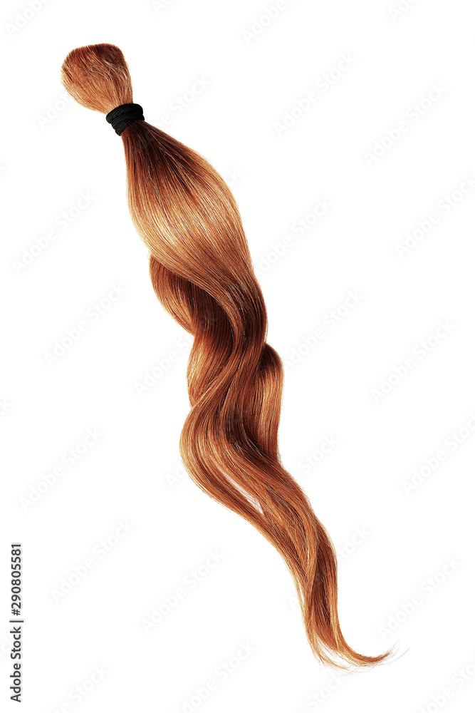 Wall mural henna hair, isolated on white background