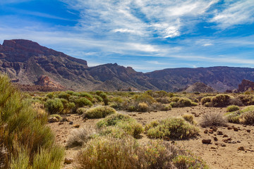 Tenerife