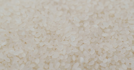 Stack of Rice dried and uncooked