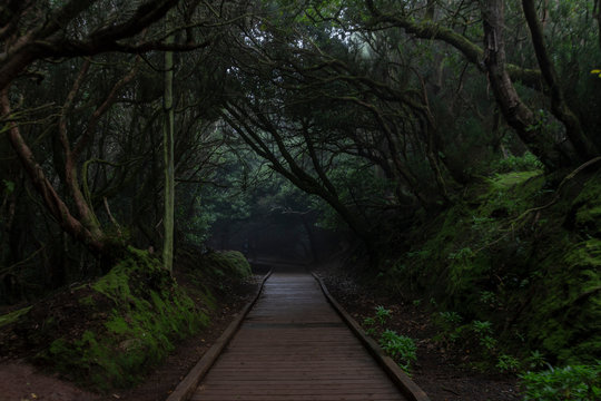 Anaga Tenerife 