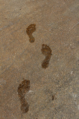 Wet footprints on rock, path, going forward