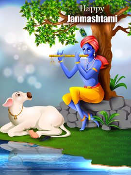 Krishna Cow Images – Browse 709 Stock Photos, Vectors, and Video | Adobe  Stock