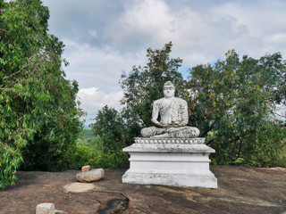 buddha statue in forest
