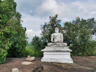 Fototapeta premium buddha statue in forest