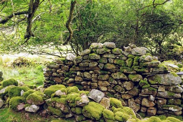 Stone Wall Structure in a Rural Pasutre