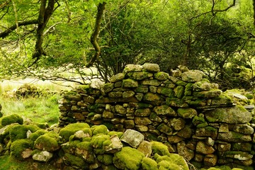 Fototapeta premium Stone Wall Structure in a Rural Pasutre