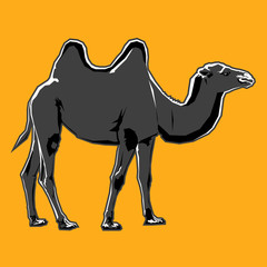 Abstract vector illustration of a walking dromedary. Figure of a camel with darkened parts of the body. Made by hand. Camel gray on a yellow background. Drawn with a white stroke for volume.