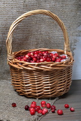 Basket filled with cranberries. It stands on a surface covered with linen cloth. Several berries are scattered on the surface.