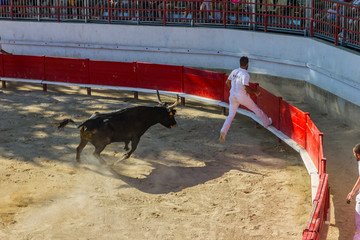 Tauromachie