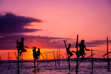 Fototapeta na wymiar Traditional stilt fisherman in Sri Lanka