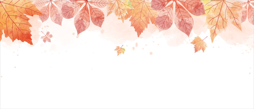 Watercolor drawing of falling red leaves in autumn season. Aim used for wallpaper background and web banner.