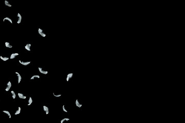 abstract, soft white feather floating in the air, black background