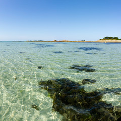 Fototapeta na wymiar square format ocean coast and beach landscape with clear water and algae and kelp under a blue sky
