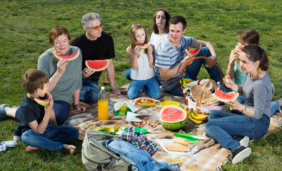 Joyful people sitting and talking on picnic