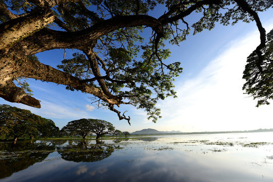 Thissamaharamaya lake in Sri Lanka