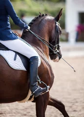 Foto op Canvas A red sports horse with a bridle and a rider riding with his foot in a boot with a spur in a stirrup. © Alexander