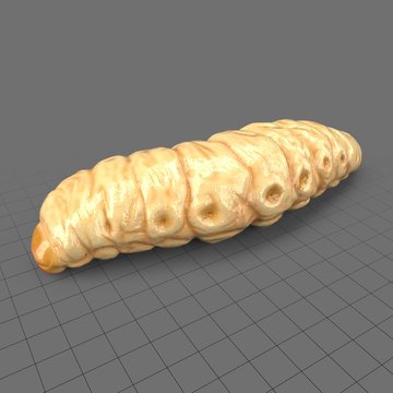 Maggot crawling