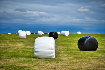 straw bales protected with black and white plastic in Icelandic farm fields