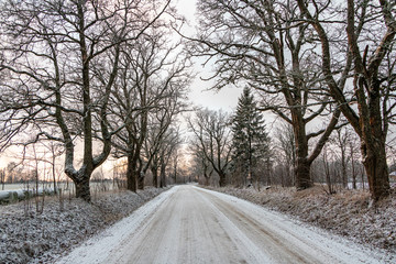 Rural winter road with trees on both sides on a sunset hour covered with snow