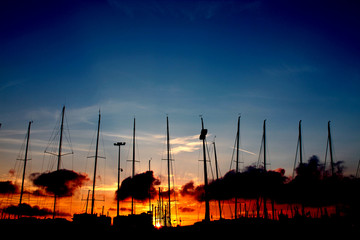 Boat marina in sunset
