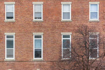 windows of an old building