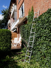 Ivy removal from a brick house wall with the help of a tall ladder
