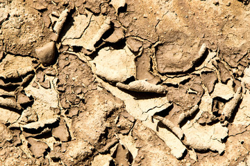 Dry cracked earth, abstract natural background