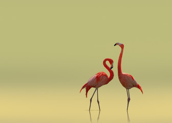 Fototapeta na wymiar Flamingo couple on smooth flat background