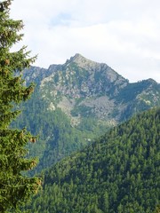 The woods and the nature of the Anzasca valley, at the foot of Monte Rosa, near the town of Macugnaga, Italy - August 2019.