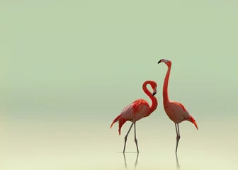 Fotobehang Flamingopaar op vlotte vlakke achtergrond © Paul