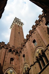 Fototapeta premium Torre del Mangia in Siena