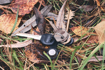 Lost the keys on the grass. A bunch of keys lying in autumn leaves