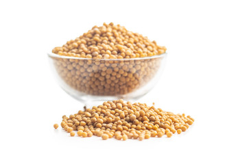 Yellow mustard seeds.