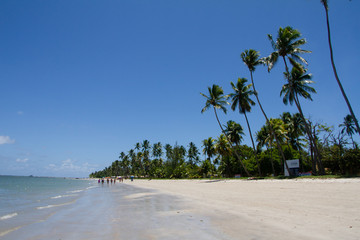 Tamandaré / Pernambuco / Brazil. January 24, 2019. Views of Carneiros Beach which during the...