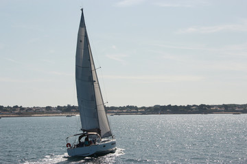 Naklejka premium Voilier, plaisance