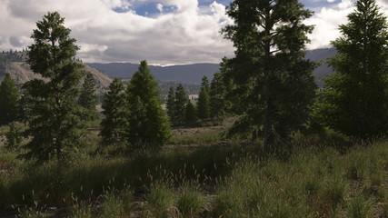 Arid sparese forest (render)