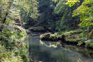 View from the wild Edmunds Gorge in Bohemian Switzerland near the town of Decin, Czech Republic