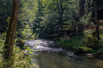 View from the wild Edmunds Gorge in Bohemian Switzerland near the town of Decin, Czech Republic